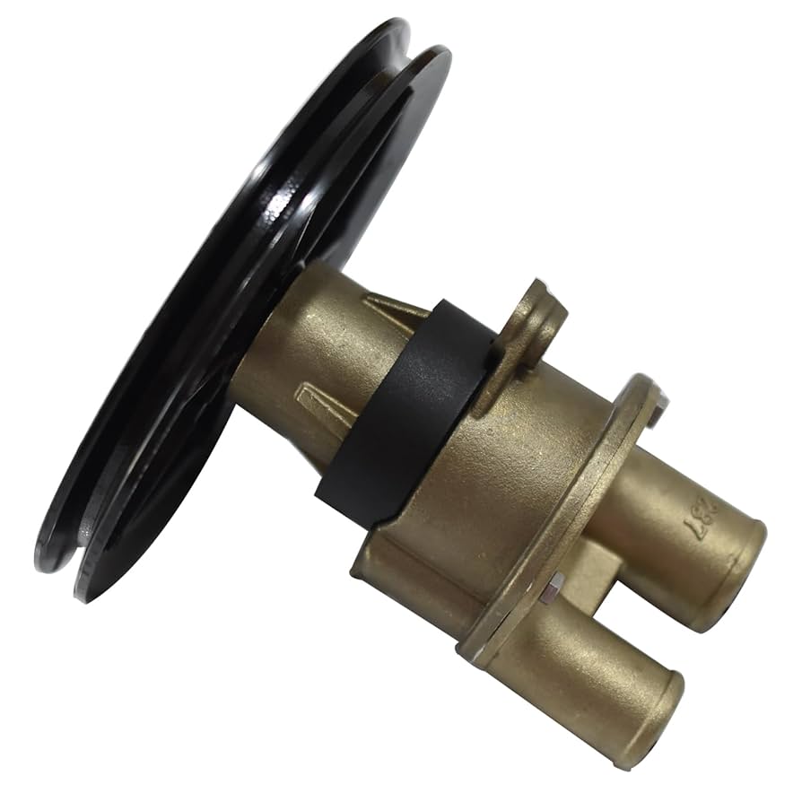 Amazon.com: Prefer Warehouse Raw Water Sea Pump Compatible